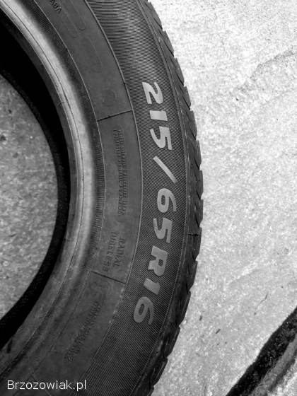 215/65 R 16 zimowe Dębica 2021 rok,  ponad 7 mm bieżnika.