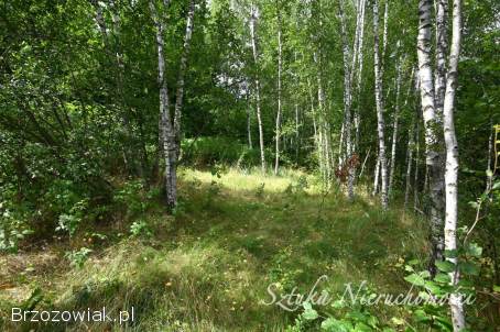 SPRZEDAM działkę z warunkami zabudowy w WESOŁEJ