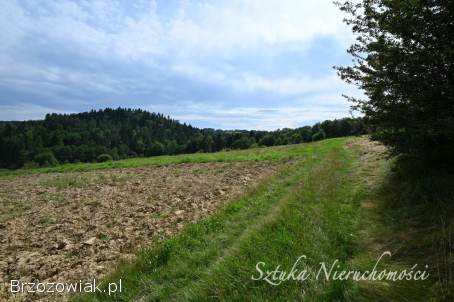 SPRZEDAM działkę z warunkami zabudowy w WESOŁEJ