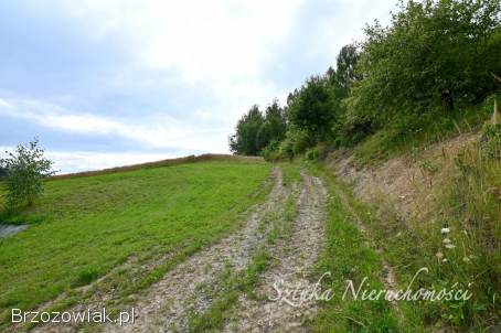 SPRZEDAM działkę z warunkami zabudowy w WESOŁEJ