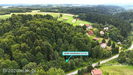 SPRZEDAM działkę rolno-leśną w GOLCOWEJ