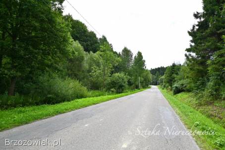 SPRZEDAM działkę rolno-leśną w GOLCOWEJ