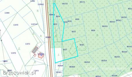 SPRZEDAM działkę rolno-leśną w GOLCOWEJ