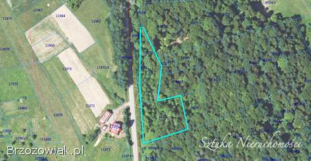 SPRZEDAM działkę rolno-leśną w GOLCOWEJ