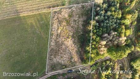 SPRZEDAM działkę z warunkami zabudowy w WARZE