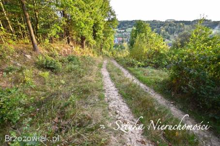 SPRZEDAM działkę z warunkami zabudowy w WARZE