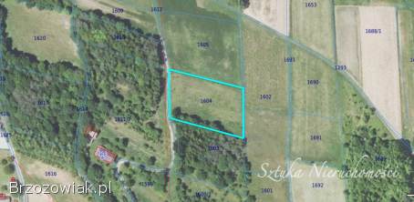 SPRZEDAM działkę z warunkami zabudowy w WARZE