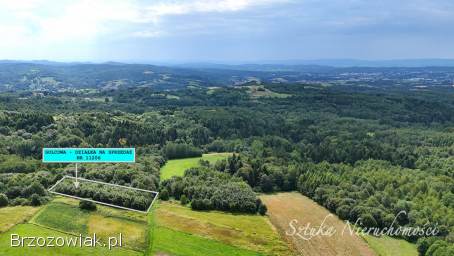 SPRZEDAM działkę rolną w GOLCOWEJ