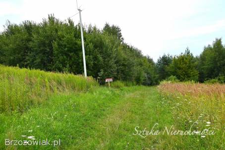SPRZEDAM działkę rolną w GOLCOWEJ
