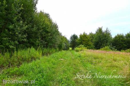 SPRZEDAM działkę rolną w GOLCOWEJ