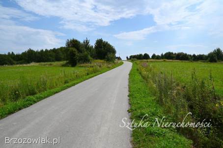 SPRZEDAM działkę rolną w GOLCOWEJ