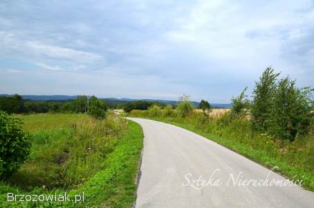 SPRZEDAM działkę rolną w GOLCOWEJ