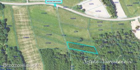 SPRZEDAM działkę rolną w GOLCOWEJ