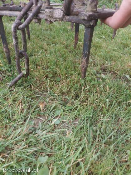 Brony barona 3 polowa składana