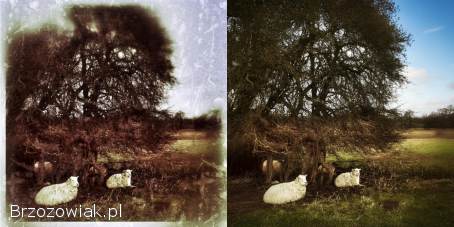 Odnawianie starych i zniszczonych zdjęć ONLINE 🖼️✨