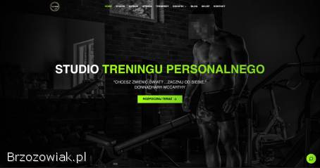 Profesjonalne Tworzenie Stron Internetowych i Sklepów online