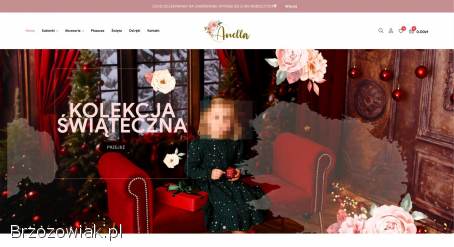 Profesjonalne Tworzenie Stron Internetowych i Sklepów online