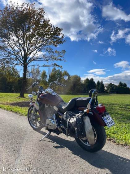 Kawasaki Vulcan 1500 1990