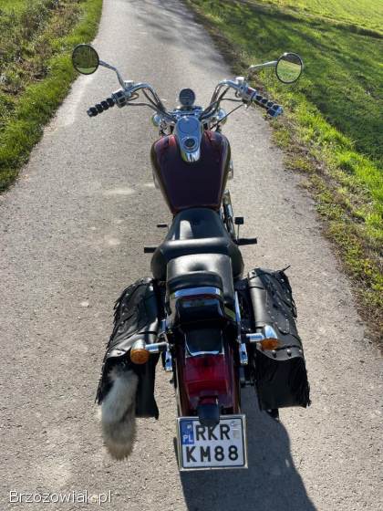 Kawasaki Vulcan 1500 1990