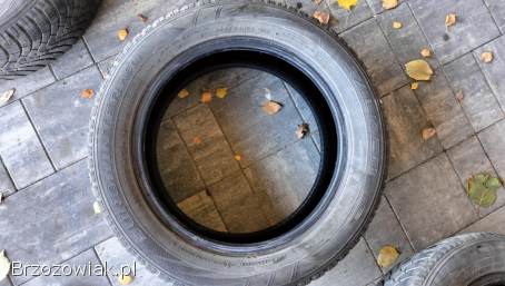 Opony zimowe falken 205/55/r16