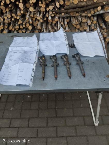 Wtryskiwacze wtryski do busa Renault Opel Movano 2.  5cdti