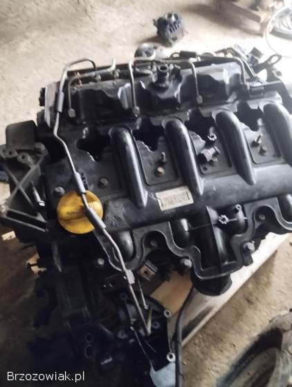 Silnik opel Movano 2.  5 części