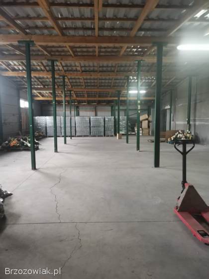 Do wynajęcia MAGAZYN o powierzchni 280m2