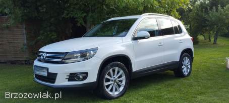 Volkswagen Tiguan 4MotionSport&sty 2011