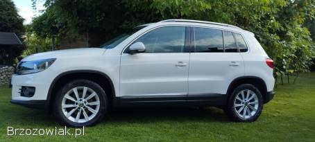 Volkswagen Tiguan 4MotionSport&sty 2011