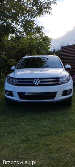 Volkswagen Tiguan 4MotionSport&sty 2011