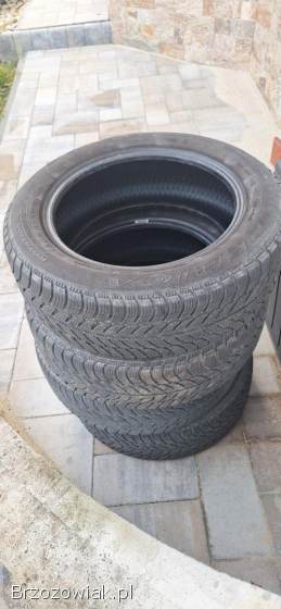 Opony zimowe Dębica frigo 2 185/60/15