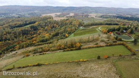 Działka z potencjałem inwestycyjnym obok winnicy