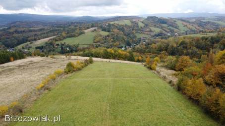 Działka z potencjałem inwestycyjnym obok winnicy