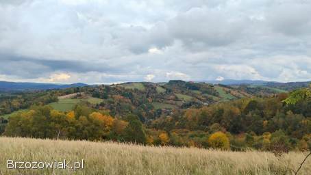 Działka z potencjałem inwestycyjnym obok winnicy