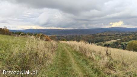 Działka z potencjałem inwestycyjnym obok winnicy
