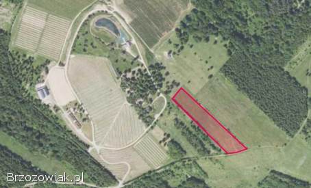 Działka z potencjałem inwestycyjnym obok winnicy