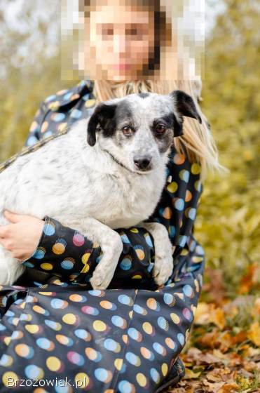 Alvin -  całe życie za kratami BŁAGAMY o pomoc