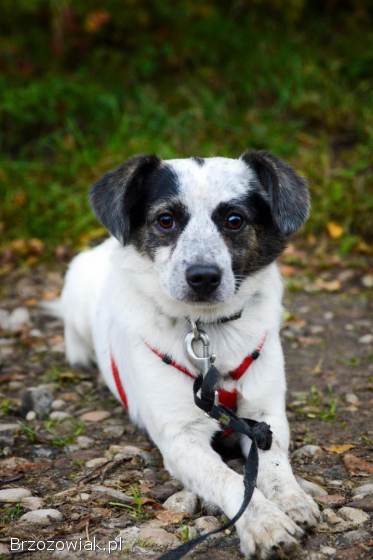 Alvin -  całe życie za kratami BŁAGAMY o pomoc