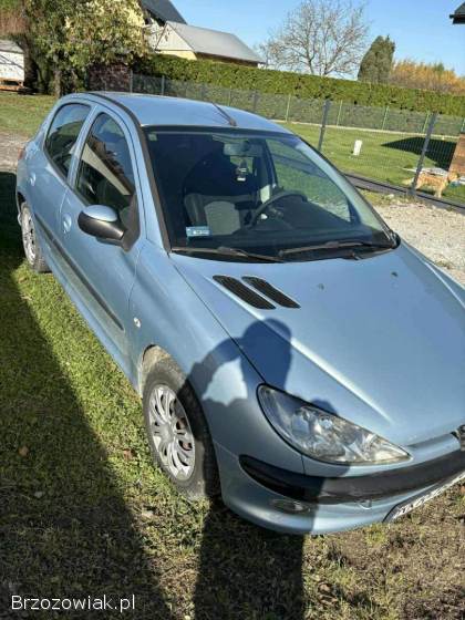 Peugeot 206 2004