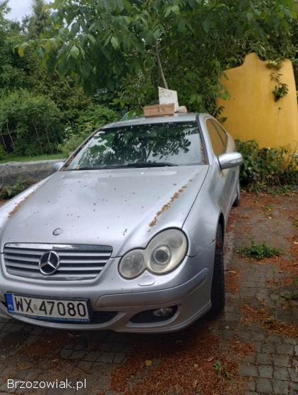 Mercedes-Benz CLK 2 drzwiowy 2004