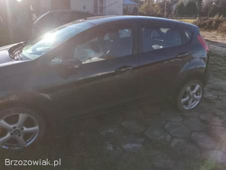 Ford Fiesta 2010