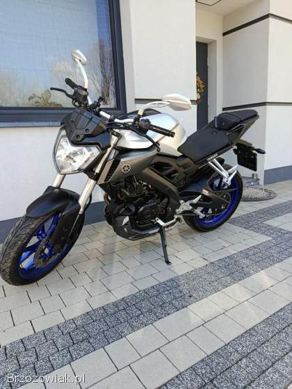 Yamaha MT 2016