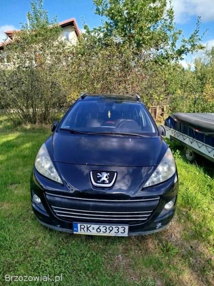 Peugeot 207 SW 2009