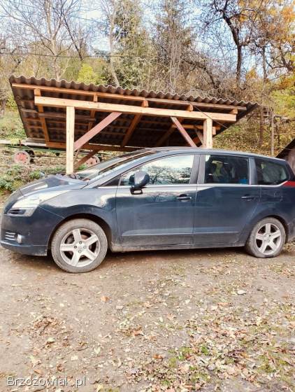 Peugeot 5008 2010