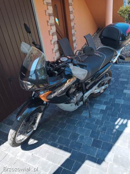 Honda Transalp 2000