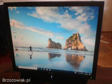 MONITOR KOMPUTEROWY DELL LCD 19 + GŁOŚNIKI STEREO 10W