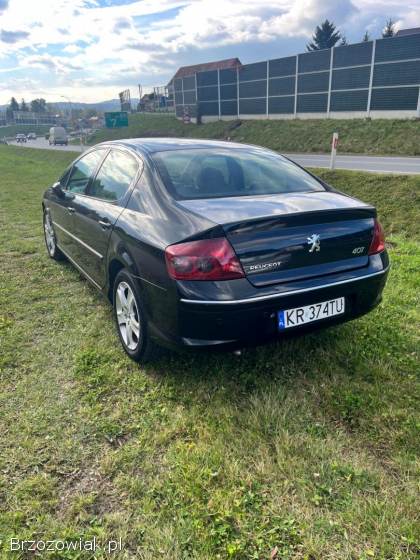 Peugeot 407 2008
