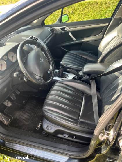 Peugeot 407 2008