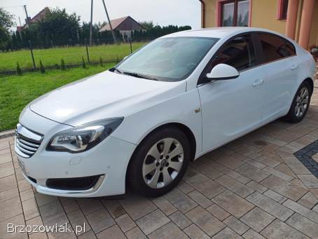 Opel Insignia Biznes  2014