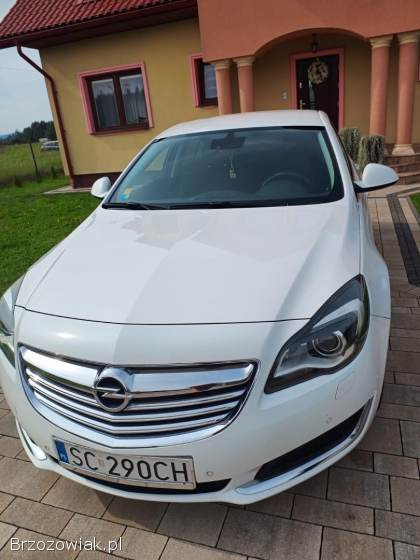 Opel Insignia Biznes  2014